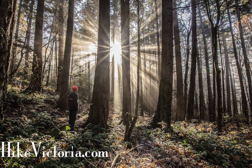 Adventure for Anyone: HikeVictoria.com Guided Hikes in Victoria BC
