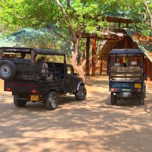 Udawalawe National Park Sri Lanka Safari Jeeps